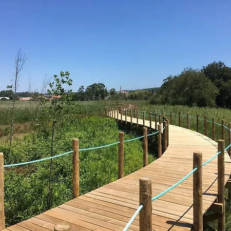 Lägenhet Pinhal D'aberta Esmoriz