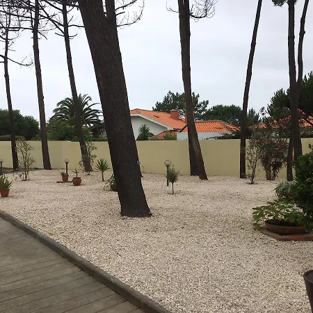 Pinhal D'aberta Esmoriz